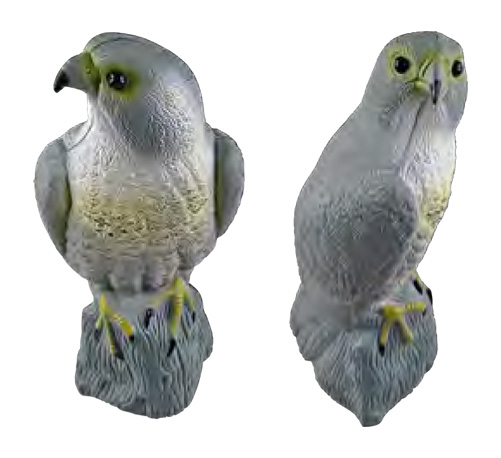 Bird Deterrent – Falcon