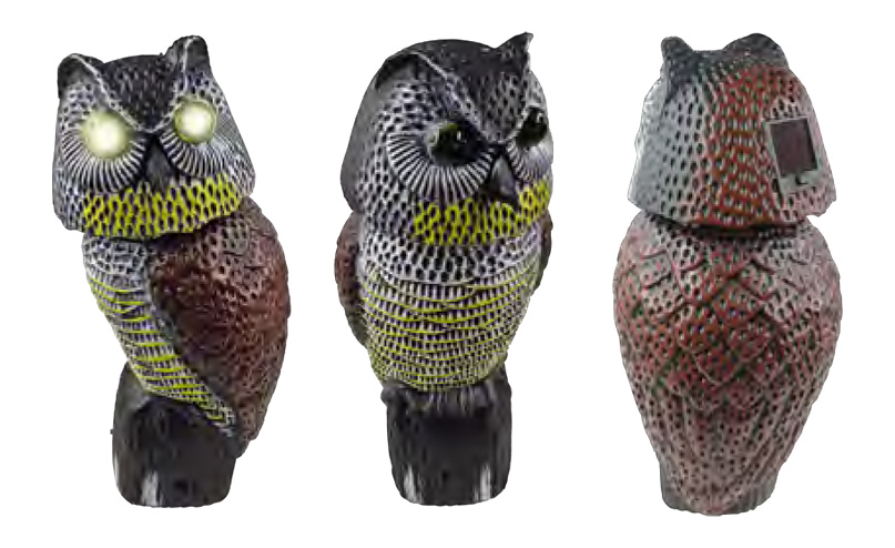 Bird Deterrent – Owl SOLAR
